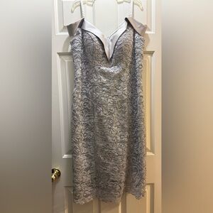Chic Silver Lace Mini Dress